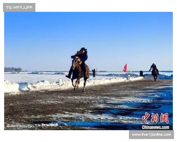 莫力达瓦端午赛马与冬季雪地赛马,传统体育活动与现代赛事交织