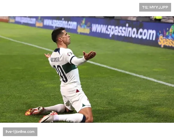 从重伤到回归:葡萄牙后卫坎塞洛的康复之路 从重伤到回归:葡萄牙后卫坎塞洛的康复之路